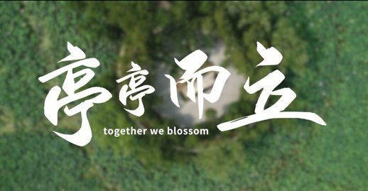 这所高校的选修课...